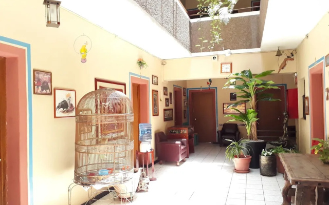 Hotel Janeiro