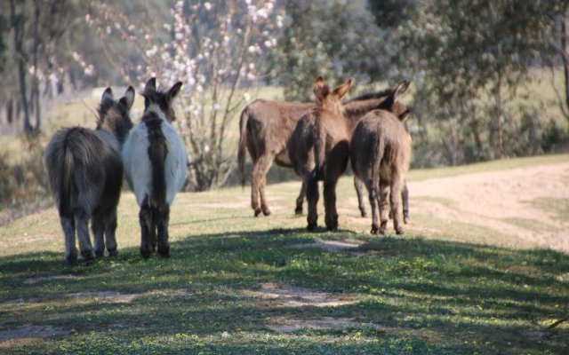 Donkey Tales Farm Cottages
