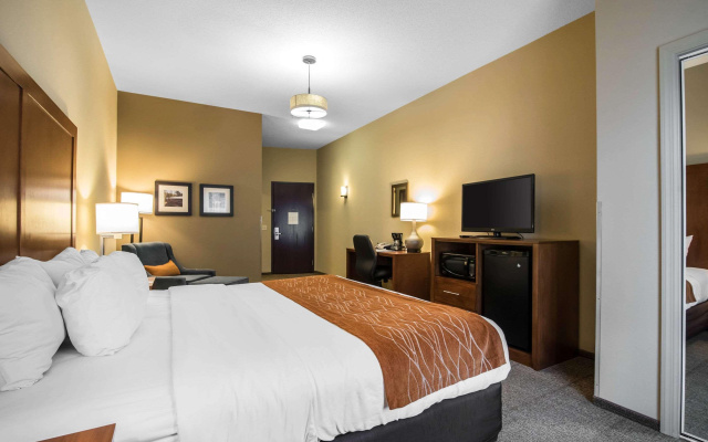 Comfort Inn & Suites Sayre