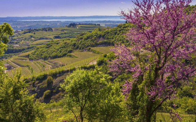 B&B Boutique Osteria della pieve