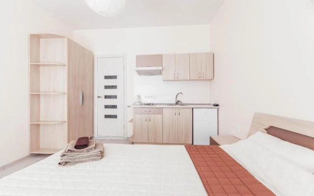 Deribasovskaya apartment