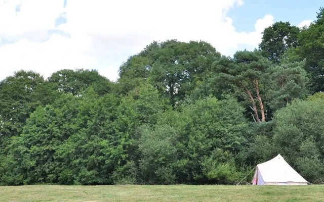 Immaculate and Cosy Bell Tent in Shaftesbury, UK