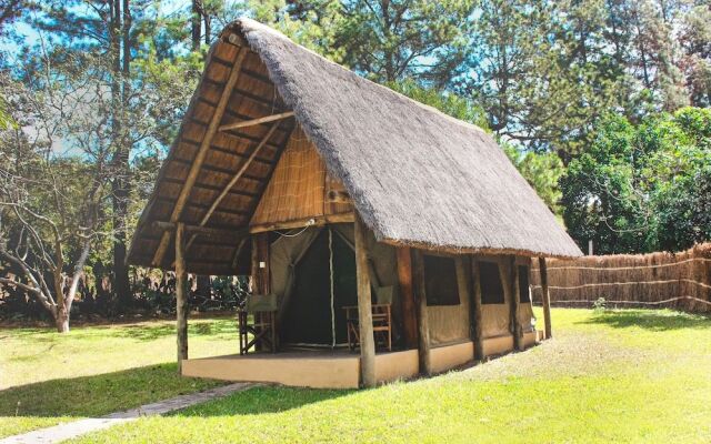 Pioneer Lodge Camp and Safaris