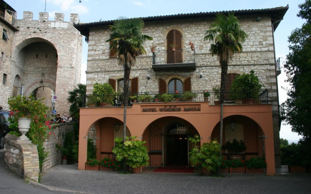 Windsor Savoia