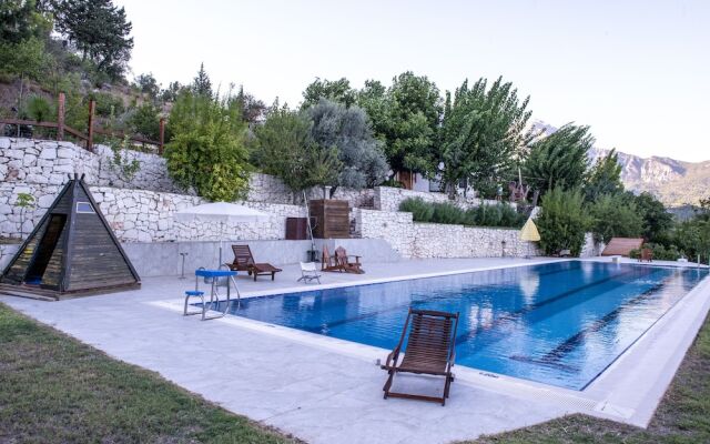 Trinitys Forest Bungalows