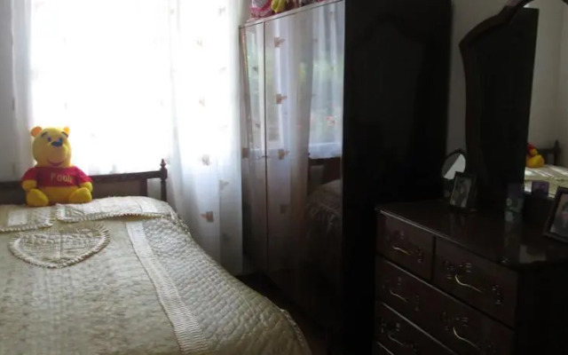 Guesthouse on Sayat Nova 85