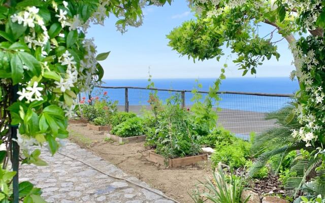 Affittacamere Sant'Alfonso