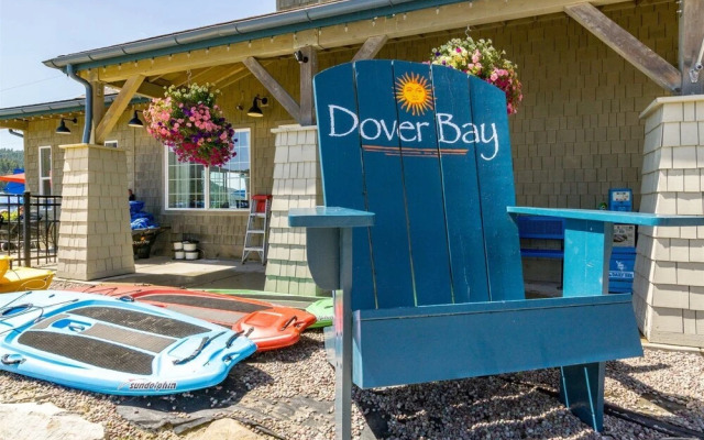 Evergreen by the Lake