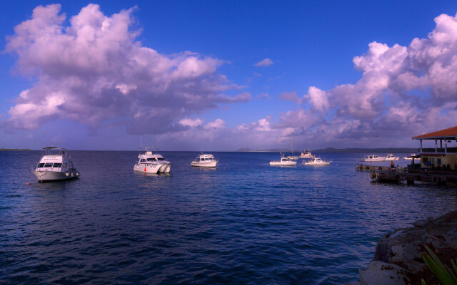 Buddy Dive Resort