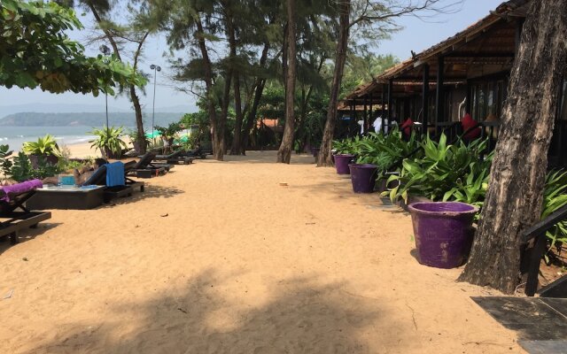H2O Agonda