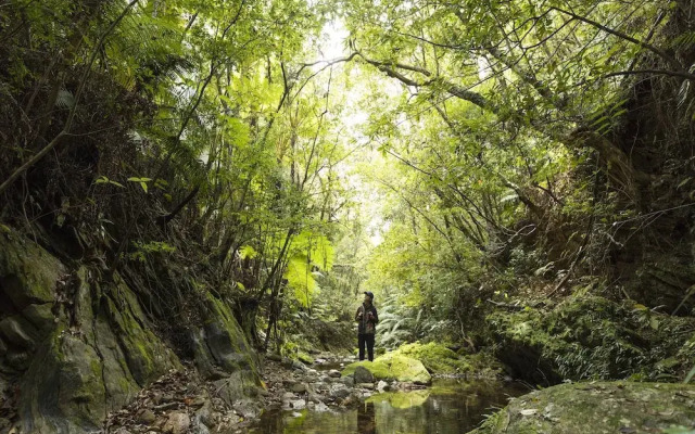 Yambaru Experience Hotel Nunganiku