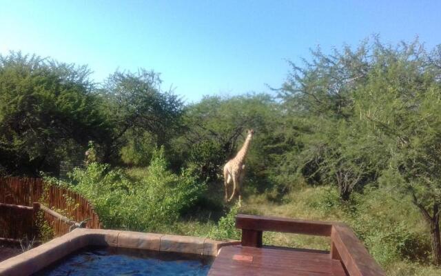 Marloth Kruger Whispering Ants