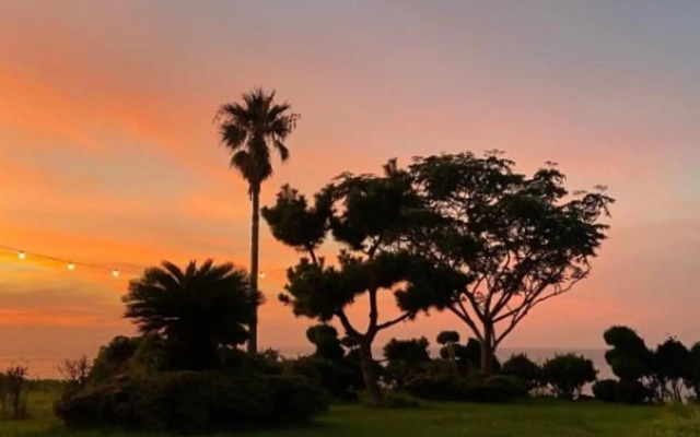 The Sea of Jeju Dream