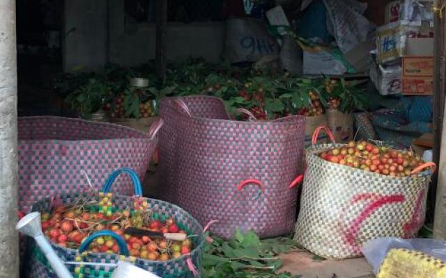 Jardin Du Mekong Homestay