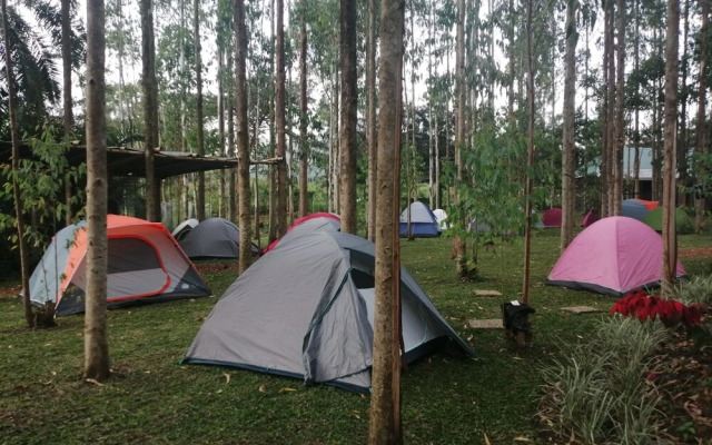 Murchison Backpackers