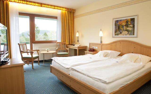 Wald Hotel Willingen