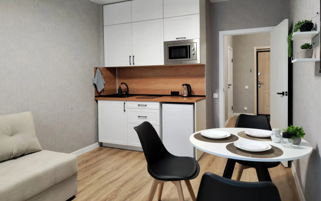 Cozy 1-room apartment near Gagarin Park