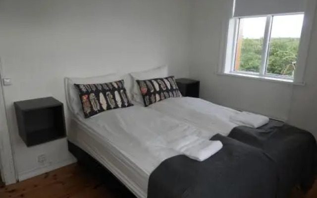 Seaview in west iceland