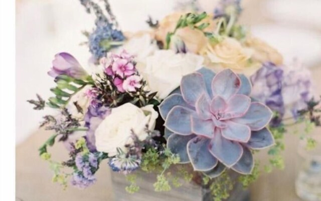 San Angel Hotel Boutique