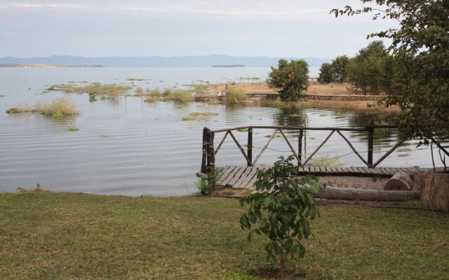 Warthogs Safari Camp