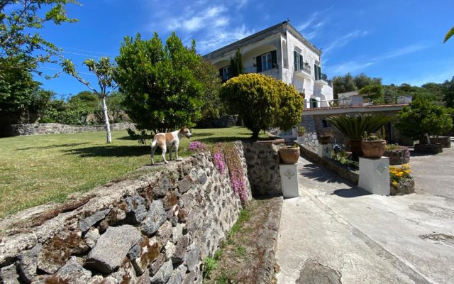 Villa Vincenzo Di Meglio