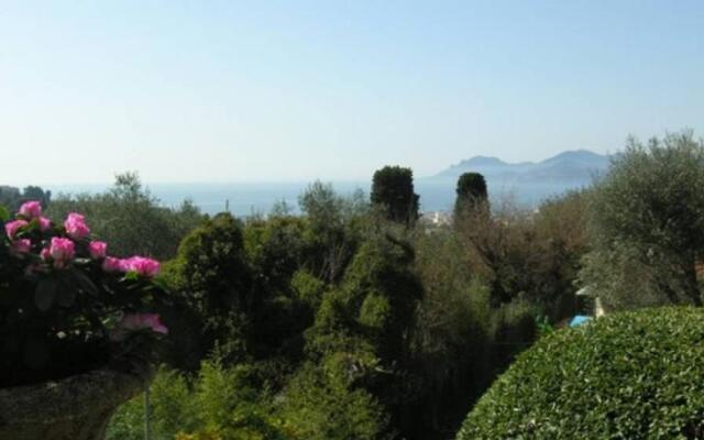 Amazing Villa Californian Style