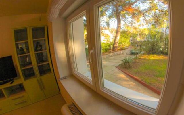 Apartment Pinus
