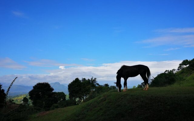 Yale Kandy Park