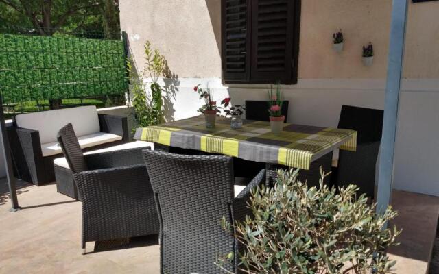 Apartment Lemon Tree