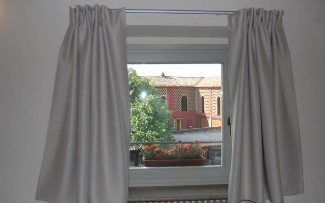 B&B Fraxinus Excelsior