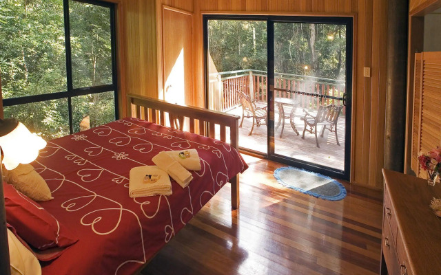 Springbrook Lyrebird Retreat