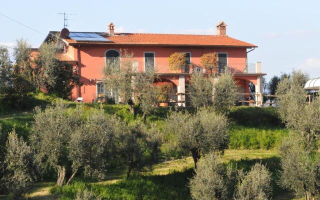 Olivia B&B and Apartment