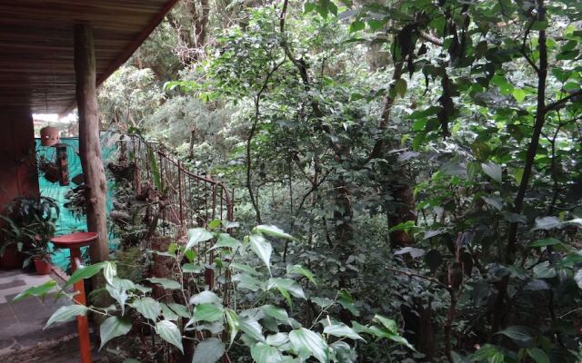 Hotel Forest Dreams Manakin