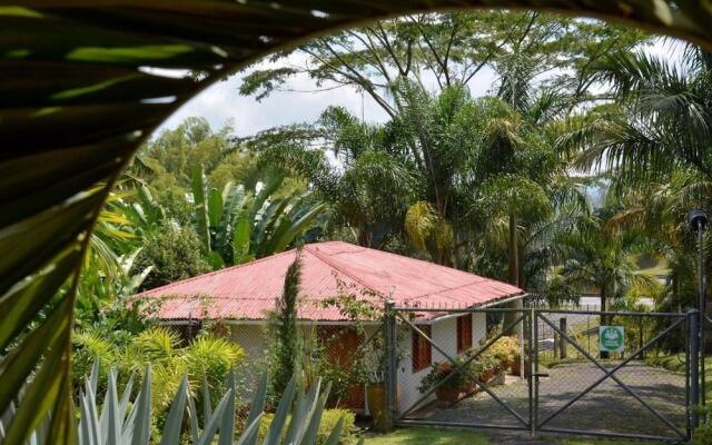 Cabanas Las Bifloras