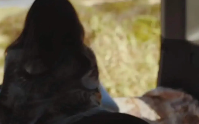 Self Service Camping Gear Bundles