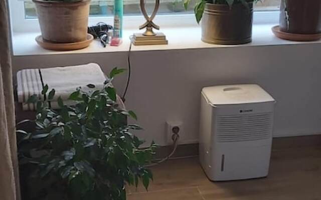 Studio in Cluj-napoca, With Terrace and Wifi
