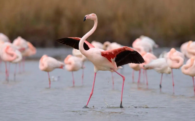 Studio Escale Port-3