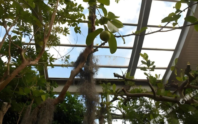 Izu Village Heso Hotel