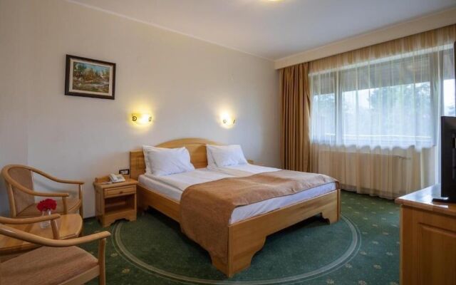 Hotel Casa Viorel