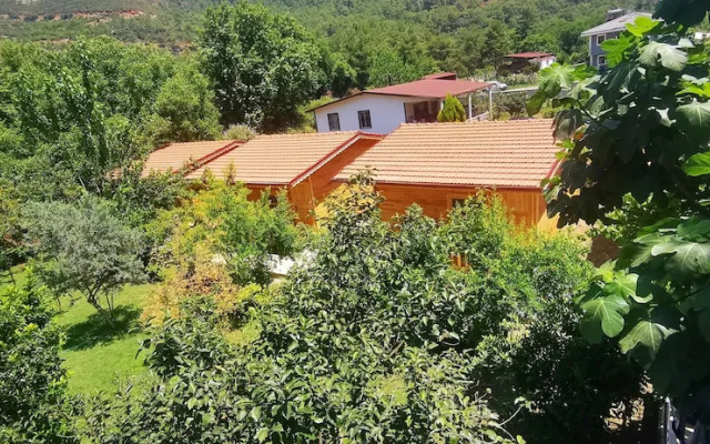Çamli Bungalow Evleri̇