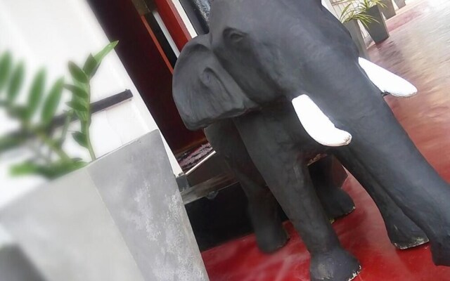 Gloriya Mathews Family Guest House