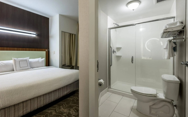 Springhill Suites Statesboro University Area