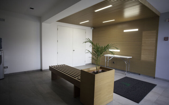 Palmetto Hotel Business San Miguel