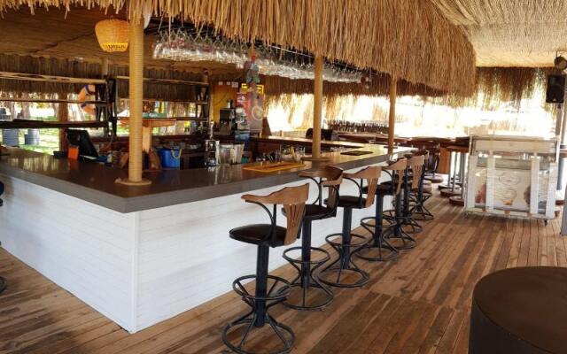Green Pine Beach & Bungalows Luxury Concept