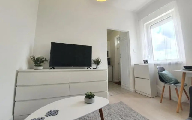 Master apartment with rooftop terrace