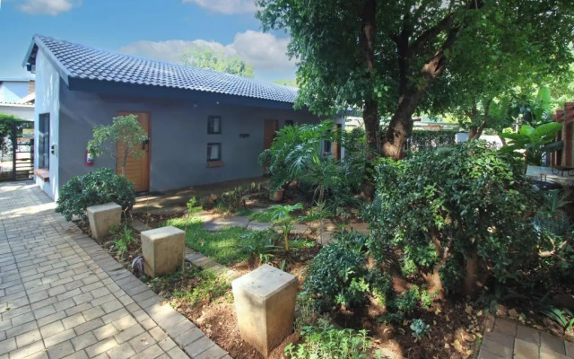 The Chameleon Stay @107