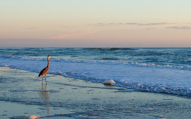 Club Sea Oats Resort