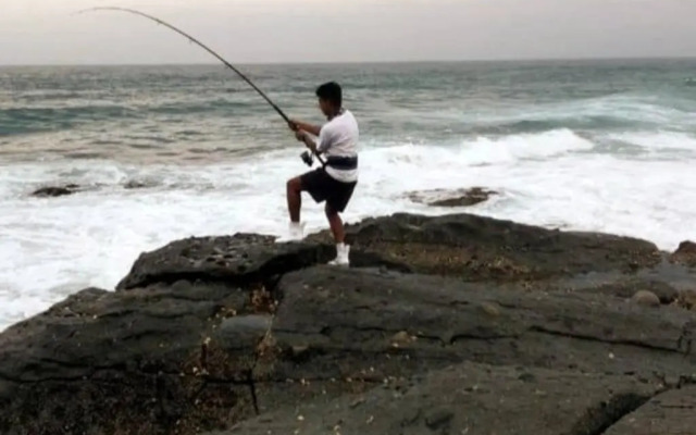 Dolphin View Self Catering