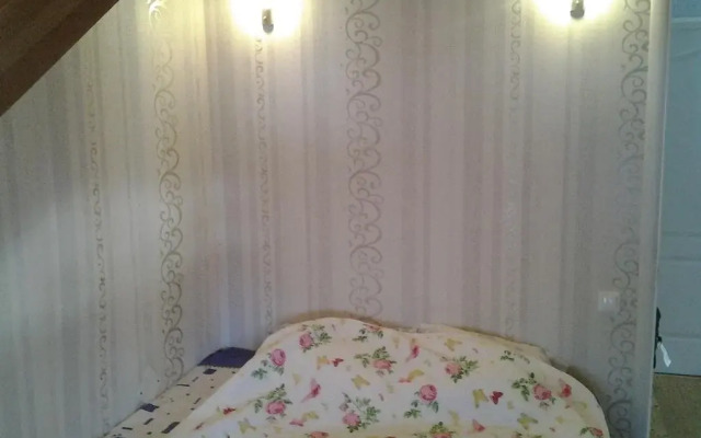 Uyutny Guesthouse