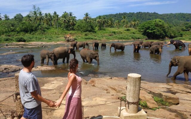 Hotel Elephant Park